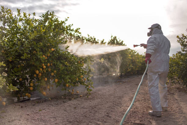 Wildlife Control Services in Grand Canyon Village, AZ