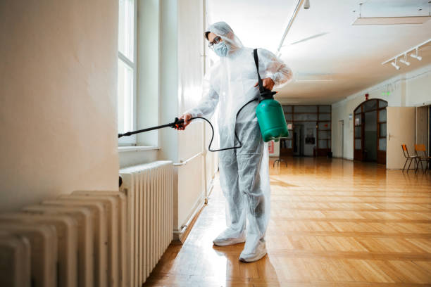 Best Pest Prevention Services  in Grand Canyon Village, AZ